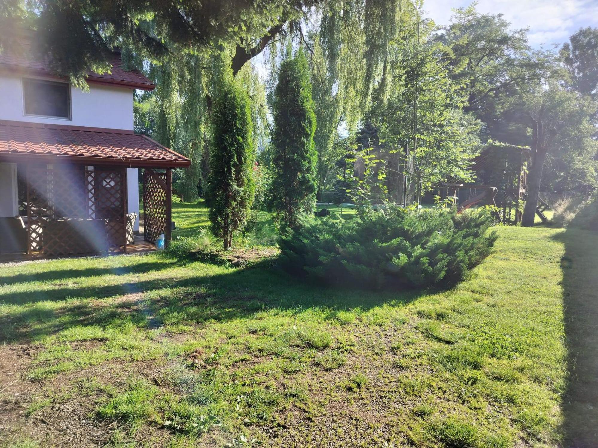 Pension Agnes Vişeu de Sus 外观 照片